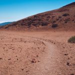 Conoce si hay aguas subterráneas en tu terreno