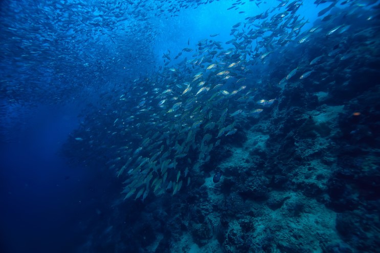 surgencias de agua