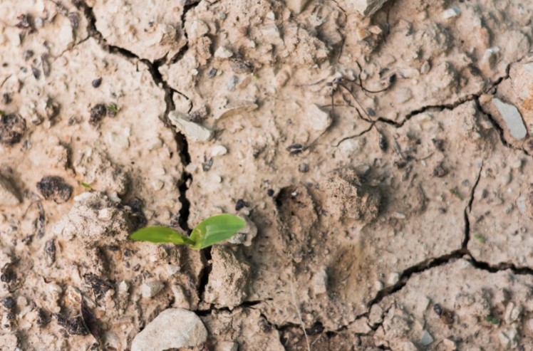 saber si hay agua subterránea en un terreno