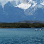 ¿Cómo se regula en Chile él uso del agua?: Normativa de conservación de agua DGA