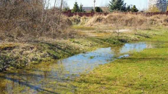 Cómo funcionan las napas de agua