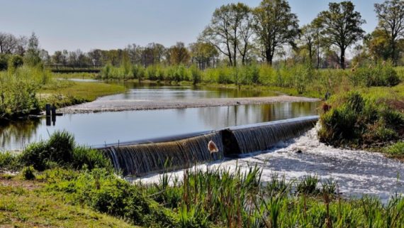 tratar las aguas de percolación